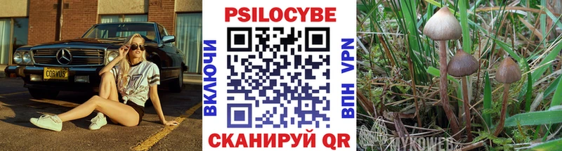 Псилоцибиновые грибы мухоморы Купить где Тюмень